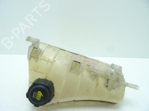 Ekpansionstank RENAULT KANGOO Express (FW0/1_) 1.5 dCi 90 (FW0G, FW05, FW08, FW11) (90 hp) 30367696