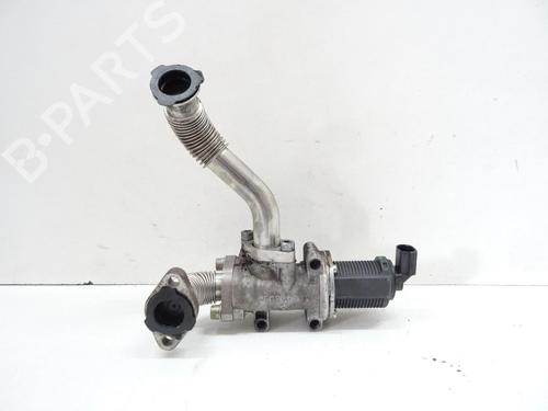 Egr FIAT GRANDE PUNTO (199_) 1.9 D Multijet | BP20066616M69 