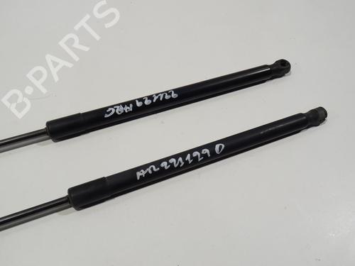 Tailgate lift support FORD FIESTA VI (CB1, CCN) 1.0 EcoBoost | BP20062426C138 