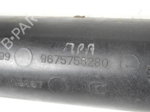 Pipe PEUGEOT EXPERT Van (V_) 2.0 BlueHDi 180 | BP20065036M125 