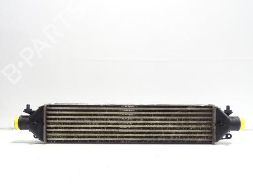 Intercooler FIAT DOBLO Cargo (263_) 1.3 D Multijet | BP33828959M30  - Image 5