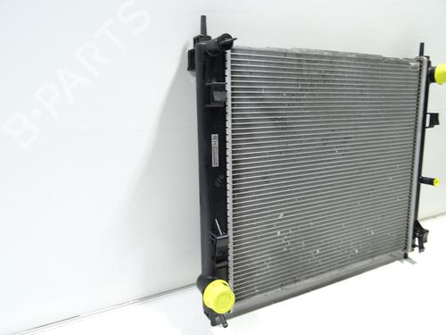 Water radiator NISSAN JUKE (F15) 1.5 dCi | BP29590774M31 