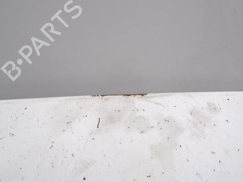 Hood FIAT DUCATO Van (230_) 2.8 D | BP20039214C1 