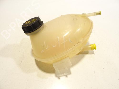 Expansion tank FORD FIESTA VII (HJ, HF) 1.0 EcoBoost | BP29756903C120