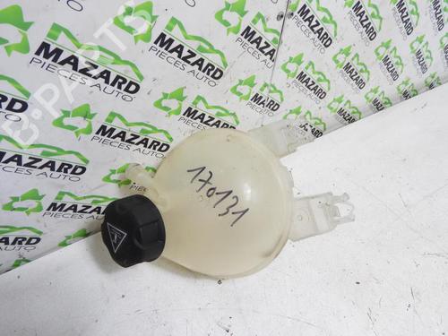 Used Expansion tank CITROËN C3 II (SC_) [2009-2025]  21964692