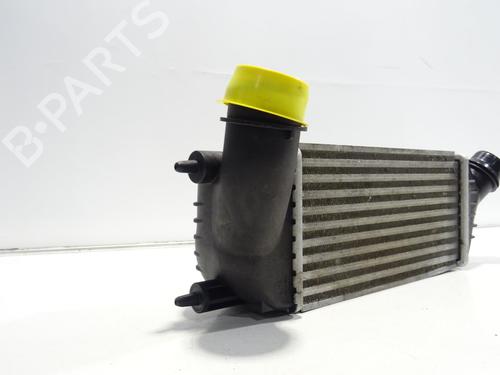 Intercooler CITROËN JUMPY II Van 2.0 HDi 125 | BP30574562M30  - Image 5