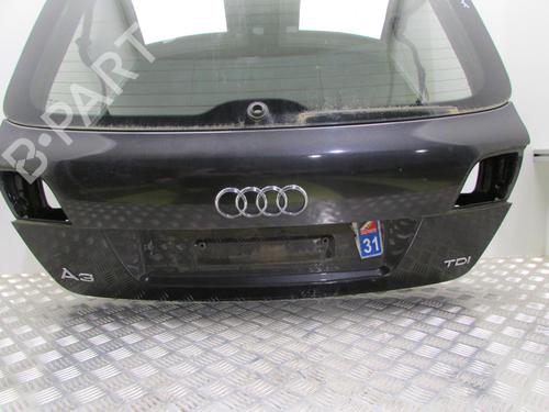 Tailgate AUDI A3 Sportback (8PA) 1.6 TDI | BP20039251C6 