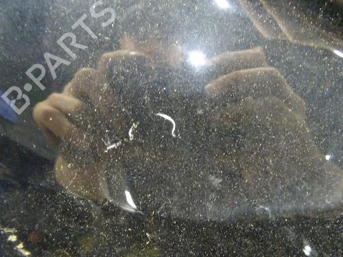 Right front fenders RENAULT CLIO V (B7_) 1.5 Blue dCi 100 (B7AD) | BP29350896C42 