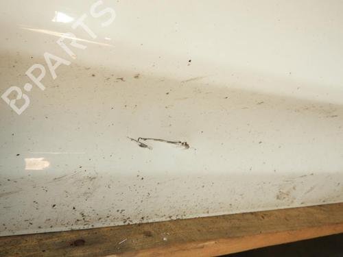 Left front door FORD TRANSIT CONNECT (P65_, P70_, P80_) 1.8 Di | BP20058895C2 