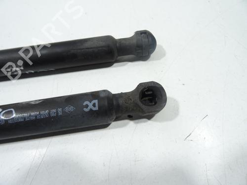 hood-lift-support-renault-kangoo-express-fw01_-2008-33314670 main image