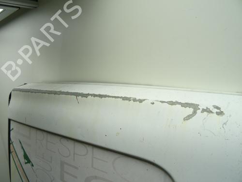 Left tailgate RENAULT TRAFIC II Bus (JL) 2.0 dCi 90 (JL00, JL01, JL0H, JL0M, JL0P, JL0S) | BP29590756C76 