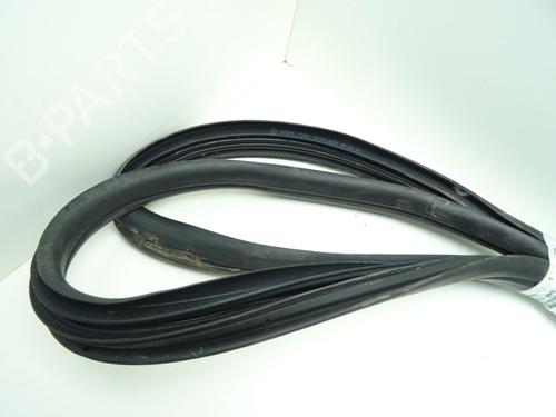 Rubber door seal NISSAN NV400 Van (X62, X62B)  | BP29405376C142 