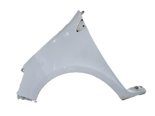 Used Left front fenders RENAULT CLIO III (BR0/1, CR0/1) 1.5 dCi (C/BR0G, C/BR1G) (68 hp) 32171662