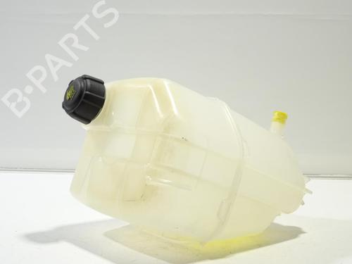 Used Expansion tank RENAULT KANGOO Express (FW0/1_) Z.E. (FW0Z, FW1Z) (60 hp) 27377382