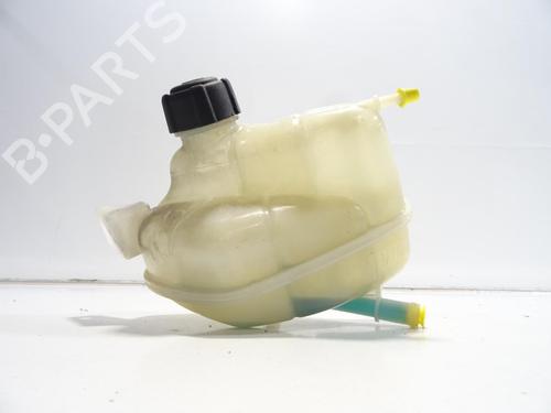 Used Expansion tank NISSAN QASHQAI II (J11, J11_) 1.6 dCi ALL MODE 4x4-i (130 hp) 29571356