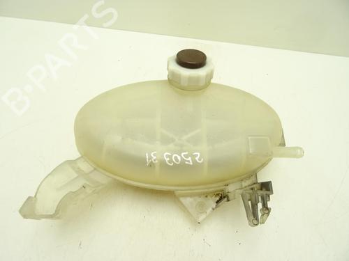 Used Expansion tank RENAULT MASTER II Van (FD) 2.5 dCi (FD02) (101 hp) 29191574