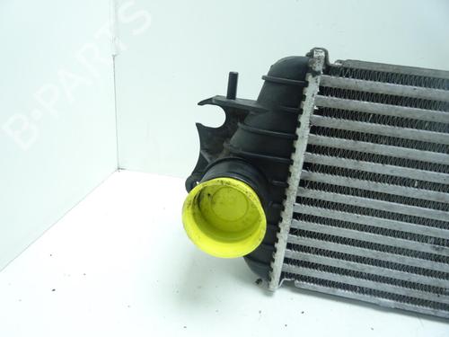 Intercooler RENAULT TRAFIC II Van (FL) 1.9 dCi 80 (FL0B) | BP32696789M30  - Image 5