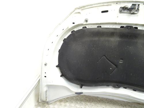 Hood VW TIGUAN (5N_) 2.0 TDI | BP29908763C1 