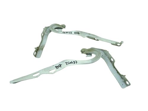 Dørhængsel/Dørbegrænser Dørhængsel/Dørbegrænser PEUGEOT 207 (WA_, WC_) 1.4 HDi (68 hp) 34387987 34387987