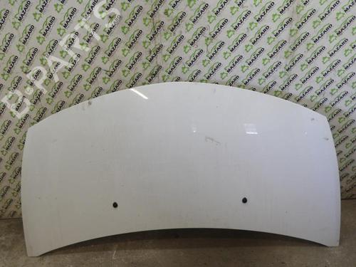 Used Hood RENAULT CLIO III (BR0/1, CR0/1) [2005-2014]  20071758