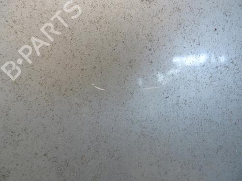 hood-suzuki-grand-vitara-ii-jt-te-td-2005-36401605 main image