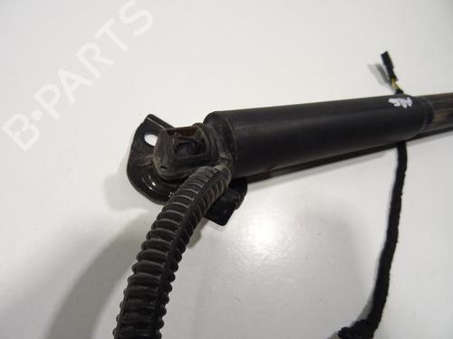 Used Tailgate lift support Tailgate lift support BMW 3 Touring (F31) 320 d xDrive (200 hp) 20062080 20062080