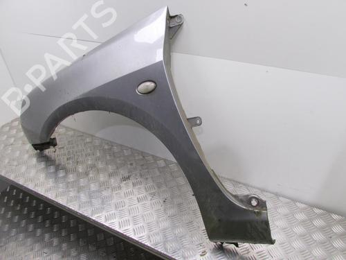 Left front fenders PEUGEOT 307 (3A/C) 1.6 16V | BP20484069C41 