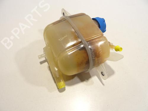 Used Expansion tank FIAT FIORINO Box Body/MPV (225_) 1.4 Natural Power (225BXC1A, 225AXC1A) (78 hp) 28283398