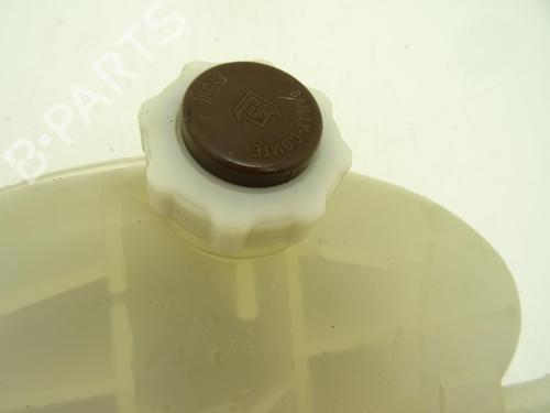 Expansion tank RENAULT MASTER II Van (FD) 2.5 dCi (FD02) | BP29191574C120 