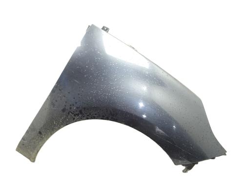 Used Right front fenders RENAULT SCÉNIC III (JZ0/1_) 1.5 dCi (110 hp) 30382347