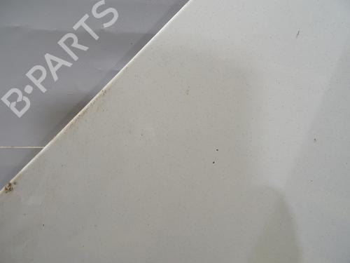 Hood FORD FOCUS C-MAX (DM2) 1.8 TDCi | BP29142574C1