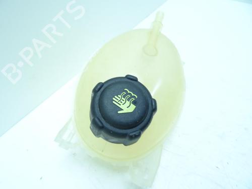 Expansion tank DACIA DUSTER (HS_) 1.5 dCi | BP29543300C120 