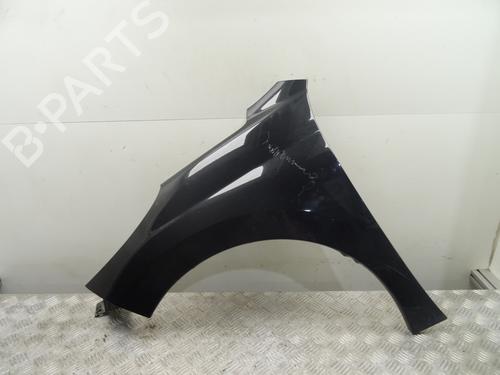 Used Left front fenders PEUGEOT 207 (WA_, WC_) 1.6 HDi (90 hp) 28084194