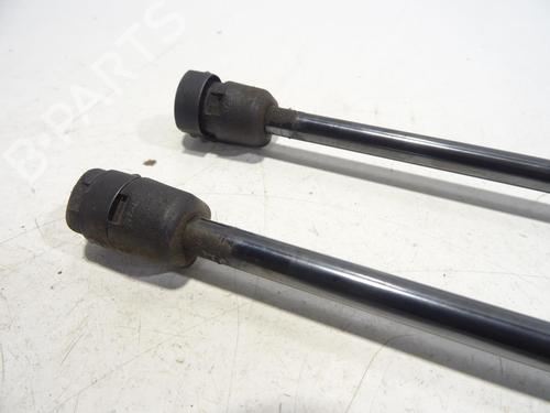 Tailgate lift support FORD FIESTA VII (HJ, HF) 1.0 EcoBoost | BP29756913C138