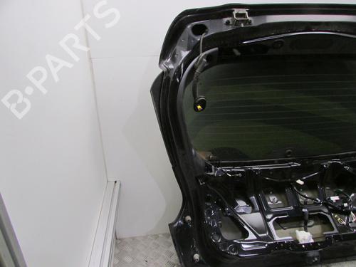 Tailgate NISSAN JUKE (F15) 1.5 dCi | BP20050643C6