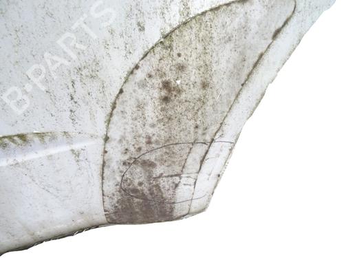 Left rear door SUBARU FORESTER (SH_) 2.0 D AWD (SHH, SHD, SHN) | BP29855425C4