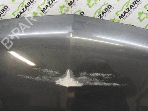 Capot Capot RENAULT VEL SATIS (BJ0_) 3.0 dCi (BJ0S) (181 hp) 21966062 21966062
