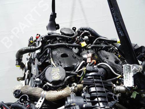 Engine LAND ROVER RANGE ROVER SPORT I (L320) 2.7 D 4x4 | BP30755442M1 