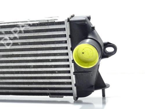 Intercooler RENAULT TRAFIC II Bus (JL) 2.0 dCi 90 (JL00, JL01, JL0H, JL0M, JL0P, JL0S) | BP29599509M30 - Image 2
