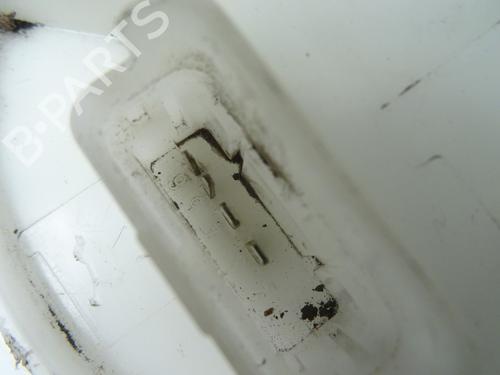 Fuel pump DS DS 3 (SA_) 1.2 THP 110 / PureTech 110 (SAHNPS, SAHNZ6, SAHNZT) | BP28195858M76 