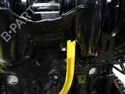 Engine RENAULT TWINGO I (C06_) 1.2 (C066, C068) | BP30847820M1 