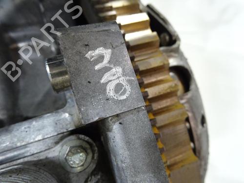 Motor RENAULT TWINGO III (BCM_, BCA_) 0.9 TCe 95 | BP29718166M1 