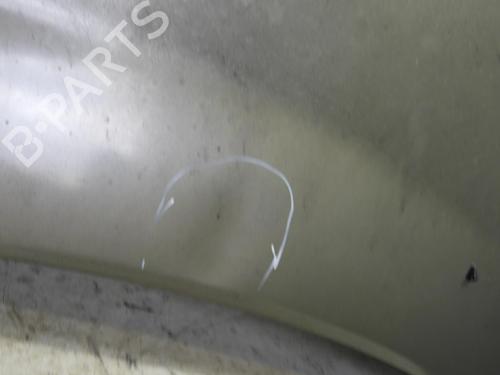 Hood LAND ROVER FREELANDER I (L314)  | BP21971562C1 