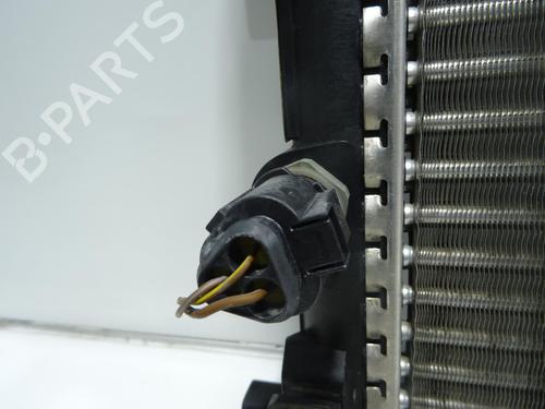 Used Water radiator Water radiator VW POLO V (6R1, 6C1) 1.2 (70 hp) 33609813 33609813