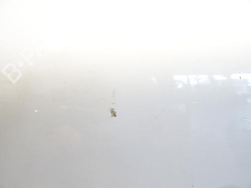 Right front door RENAULT CLIO IV (BH_) 1.5 dCi 75 | BP32366200C3