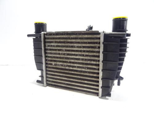 Intercooler RENAULT CLIO III (BR0/1, CR0/1) 1.5 dCi (BR17, CR17) (86 hp) 29154414