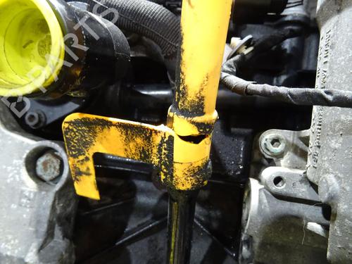 Engine VW GOLF PLUS V (5M1, 521) 1.9 TDI | BP29863412M1