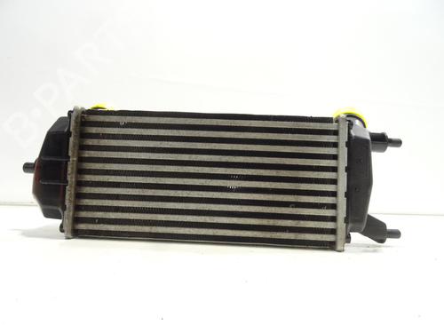 Used Intercooler Intercooler FORD ECOSPORT [2011-2022] 25145471 25145471