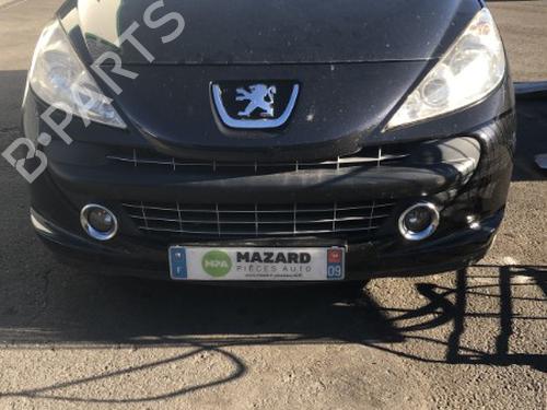 Køler PEUGEOT 207 CC (WD_) 1.6 HDi | BP22178629M31 