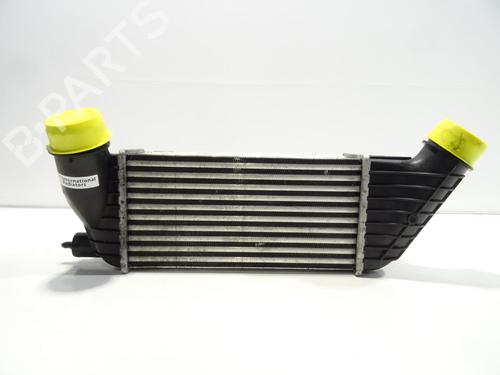 Used Intercooler FIAT ULYSSE (179_) 2.0 D Multijet (136 hp) 20334308